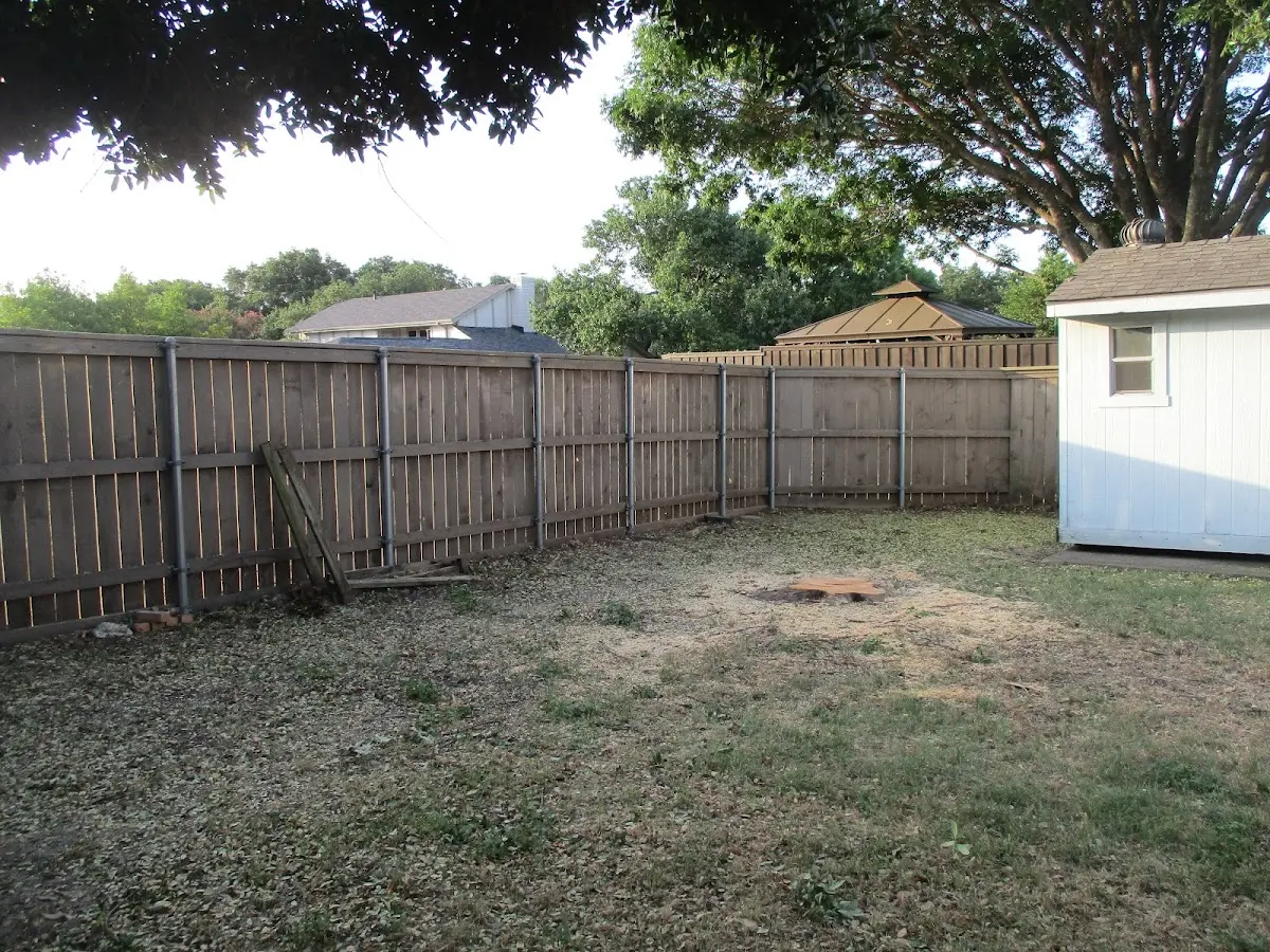 Cleared yard after professional tree removal in Sciota