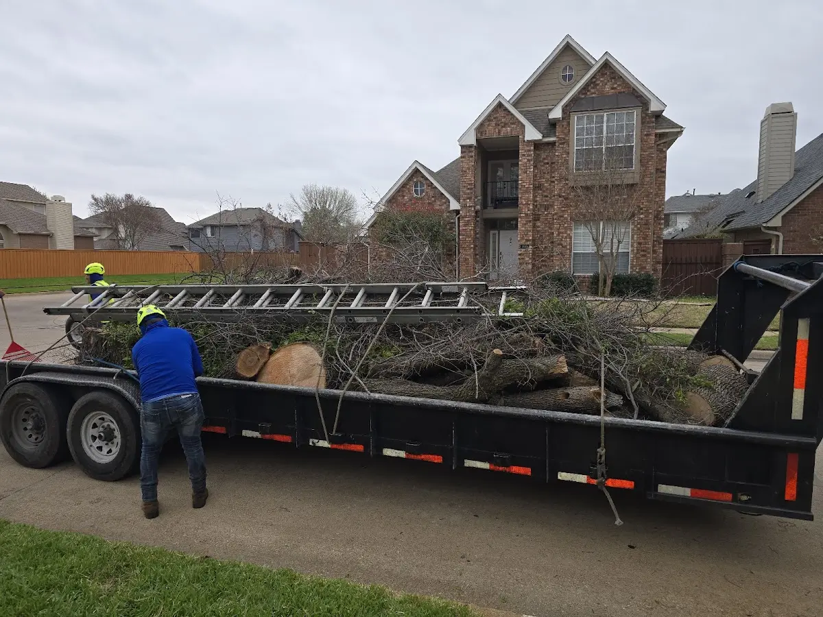 Expert Lot Clearing with proper safety equipment in Sciota